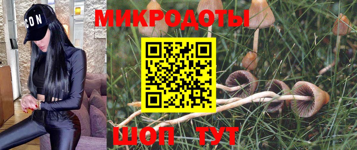 купить наркоту  Галлюциногенные грибы ЛСД  Воркута  Вход с VPN  Псилоцибиновые грибы мухоморы 